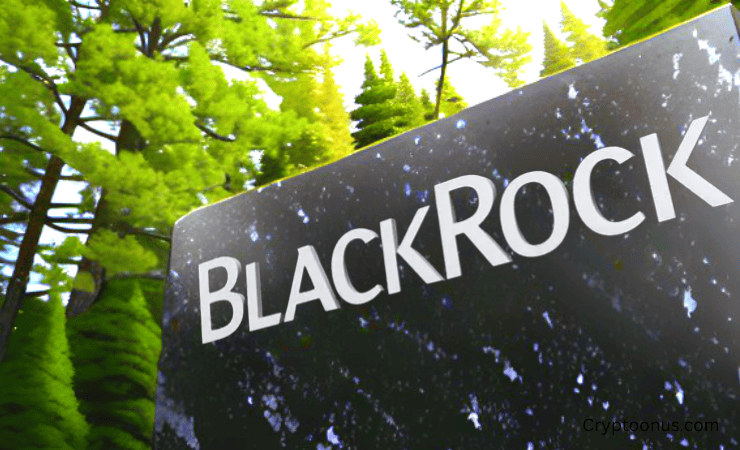 BlackRock