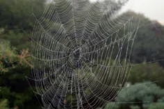 Web3