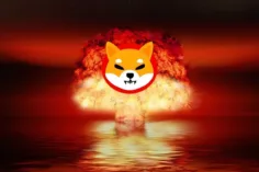 Shiba Inu