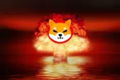 Shiba Inu