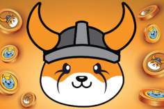 Floki Inu