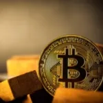 Argentinians Embrace Bitcoin Amid Economic Shifts, Seeking Growth Over Stability