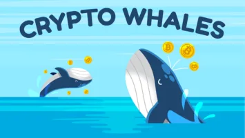 Crypto Whales