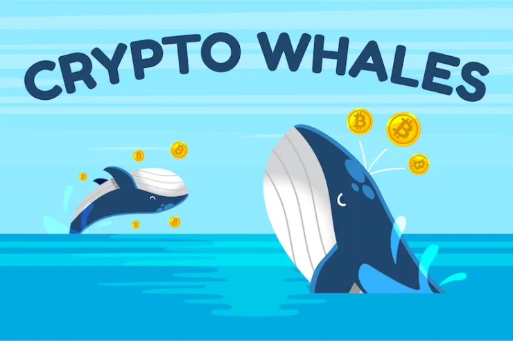 Crypto Whales