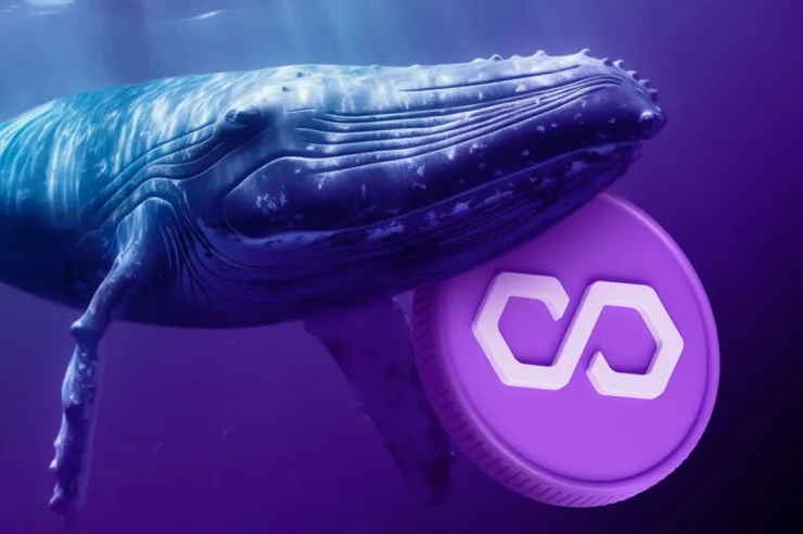 Polygon (MATIC) Whales