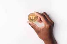 BitForex